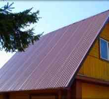 Acoperiș acoperiș cu o foaie profilate. Montarea plăcii ondulate pe acoperiș