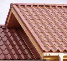 Acoperișul acoperișului: selecție material, avantaje și dezavantaje
