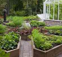 Design peisagistic al paturilor: o grădină frumoasă cu propriile mâini
