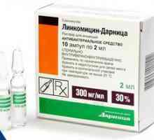Lincomycin comprimate și nyxes: instrucțiuni pentru utilizarea în stomatologie