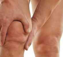 Meniscul articulației genunchiului: simptome și fotografii