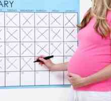 Metode care ajută la numărarea corectă a săptămânilor de sarcină
