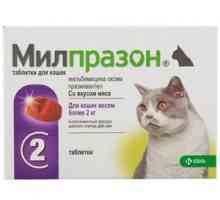 Milprazone: manual de instrucțiuni pentru pisici și câini