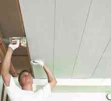 Căptușirea tavanului cu panouri din plastic