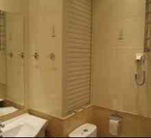 Amenajarea unui dulap în toaletă, ușile sanitare și tipurile acestora