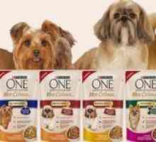 Prezentare generală a hranei pentru câini pentru rasele mici din purină