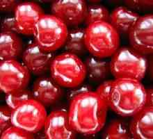 Descriere Cherry Cherry Cherry