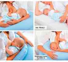 Poziții de bază pentru alăptarea unui nou-născut