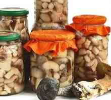 Caracteristicile ciuperci de conserve în bănci pentru iarnă