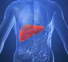 Caracteristicile manifestării simptomelor hepatitei C la bărbați