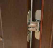 Caracteristici de instalare de bucle ascunse pentru uși de interior