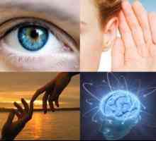 Caracteristicile percepției de informații prin kinestetikom vizuale audio