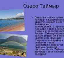 Lacul Taimyr: geografie, climă, floră și faună