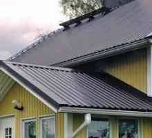 Opțiuni pentru alegerea unei foi profilate pentru acoperișuri