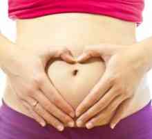 Cea de-a cincea săptămână de sarcină: ce se întâmplă cu fătul și mama?