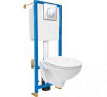 Toaletă suspendată cu instalare - instalare și dimensiuni