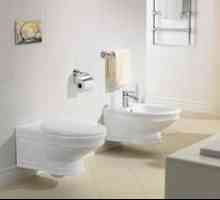 Vase de toaletă suspendate cu instalație - modelele existente și dimensiunile acestora