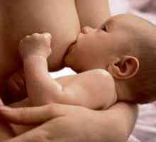 Apariția laptelui la femeile gravide: când are loc acest lucru?