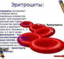 Creșterea globulelor roșii din sângele copilului