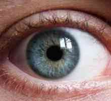 Cauzele și tratamentul proteinelor oculare galbene