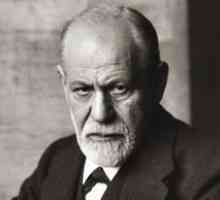 Psihologie de către Sigismund Freud