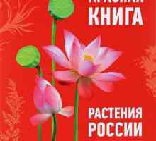 Plantele care sunt enumerate în cartea roșie a Rusiei