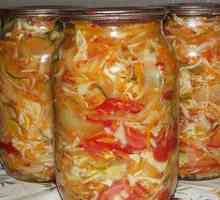 Retete pentru salata de varza pentru iarna cu piper si morcovi