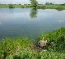 Râuri și lacuri pentru pescuit în regiunea Ivanovo