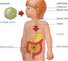 Infecția cu rotavirus: simptome și tratament. Rotavirus la copii