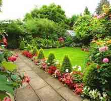 Grădină de grădină pentru decorarea grădinii