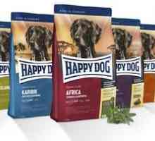 Fericit câine sau câine alimentare `câine fericit`: descriere