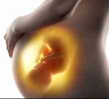 Miscarea fetala in timpul sarcinii