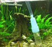 Sifon pentru curățarea acvariului. Tipuri de sifoane de acvariu și recomandări