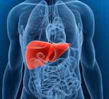 Simptomele bolii hepatice: ce fel de durere?