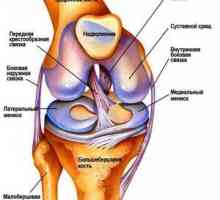Cât costă ruptura ligamentului în articulația genunchiului?