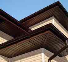 Sofite pentru acoperiș: tipuri, caracteristici, preț