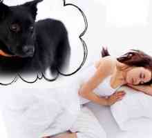 Vis: ce înseamnă un câine negru mare