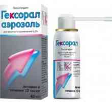 Spray hexoral - instrucțiuni de utilizare, prețul medicamentului