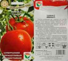Tomat "Yamal" - caracteristicile și descrierea soiului