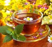 Ierburi pentru ceai: tipuri, preparare și utilizare