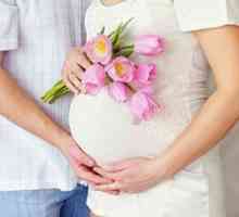 Sterilitatea în timpul sarcinii, cum să luați supozitoare