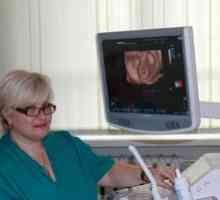 Uzi în format 3D în timpul sarcinii - demnitatea sa