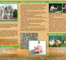 Vermiculita: descriere și aplicare