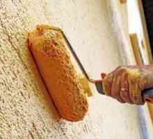 Tipuri și desenarea unui tencuială texturate pentru pereți cu mâinile proprii