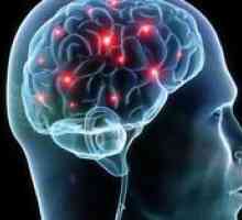 Vitamine pentru creier: un efect asupra memoriei și minții