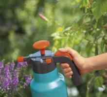 Selectarea unui pulverizator de pompare manuală pentru o grădină