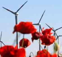 Generarea de energie electrică pentru locuințe de către centralele eoliene