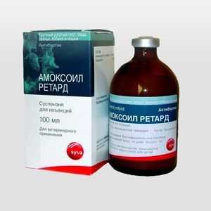 Amoxoil retard și amoxicilină pentru pisici: aplicare