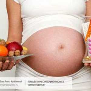Antibiotice în timpul sarcinii 2 trimestre