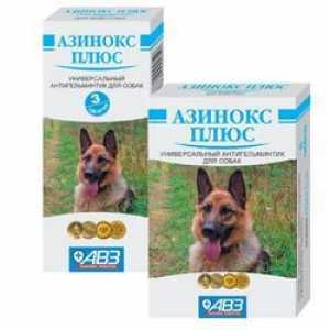 Asinox Plus pentru câini: instrucțiuni de utilizare